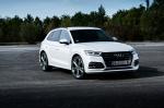 Audi Q5 55 TFSI e Quattro S-Line 2019 года (WW)